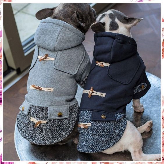 Pet Apparel